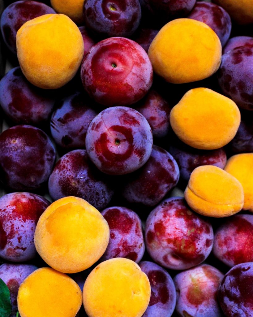 Top 12 Rare Fruits You've Never Heard Of, Hug plam