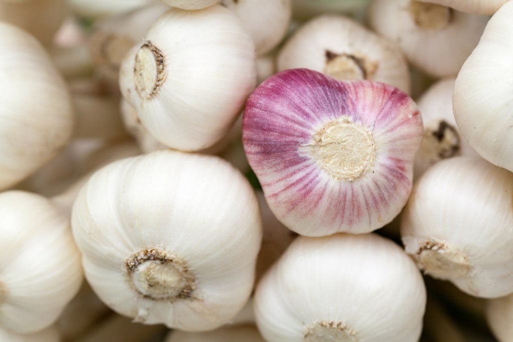 White garlic, See How Easily you can Make a Black Garlic