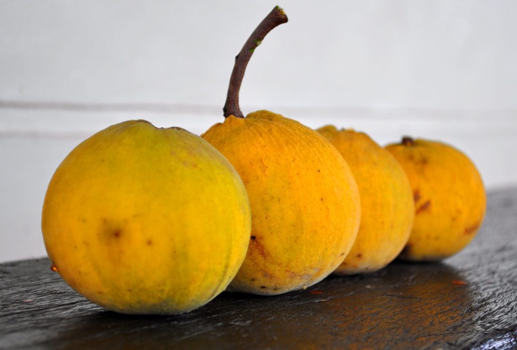 Cotton fruit  or  Santol 
Top 12 Rare Fruits You've Never Heard Of