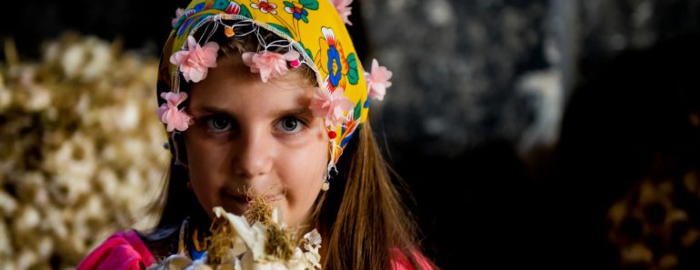 Girl gives garlic, Reasons Why You Should Consume Black Garlic