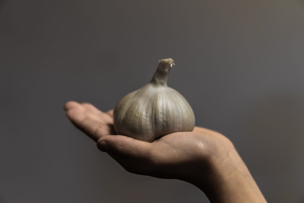 what-will-happen-if-you-eat-garlic-on-an-empty-stomach-9-major-changes