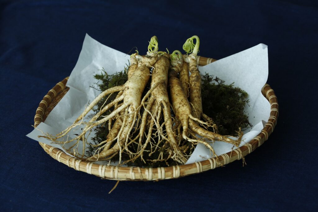 All You Need To Know About Ginseng, Panax Schinseng