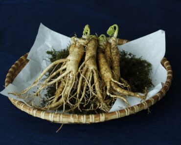 All You Need To Know About Ginseng, Panax Schinseng